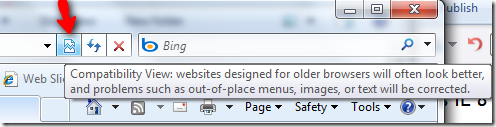 IE_8_view