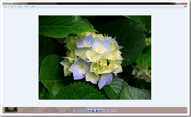 2012 12 21 1706 001 thumb - How To Fix Windows Photo Viewer Displaying Yellow Or Orange Tint For White and Transparent Images