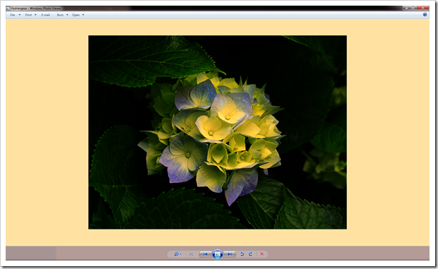 2012 12 21 1706 thumb - How To Fix Windows Photo Viewer Displaying Yellow Or Orange Tint For White and Transparent Images