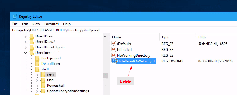 Registry Delete HideBasedOnVelocityId Next Of Windows