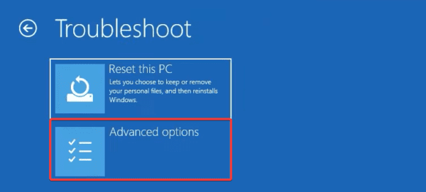 Advanced options 5 - Critical Process Died Error on Windows 11