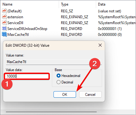 Enter value data - What Is DNS Cache on Windows and How Do I Flush It?