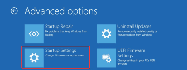 Startup settings 1 - Critical Process Died Error on Windows 11