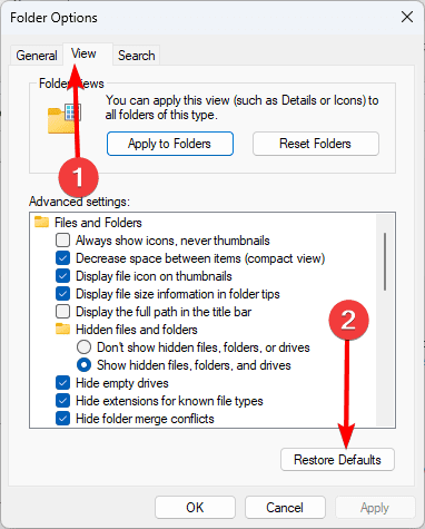 View tab - Windows 11 is Not Asking to Replace or Skip Files When Copying: Top Fixes