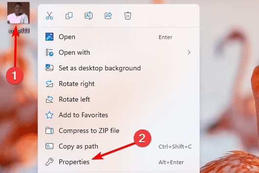 file properties - All Possible Ways to Add Tags to Files on Windows 11