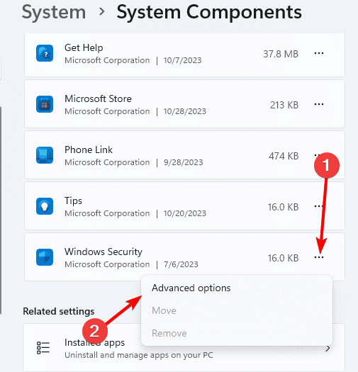 Advanced options - Tamper Protection Not Turning On Windows 11: Fixed