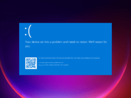 BSoD 1 260x195 - Home Page