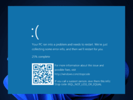 BSoD 2 260x195 - Home Page