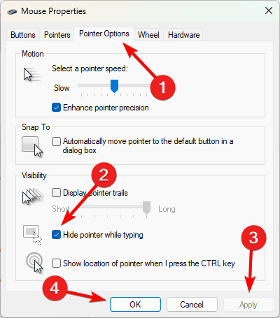 Mouse pointers - Windows 11 Mouse Cursor Disappeared: Top Fixes