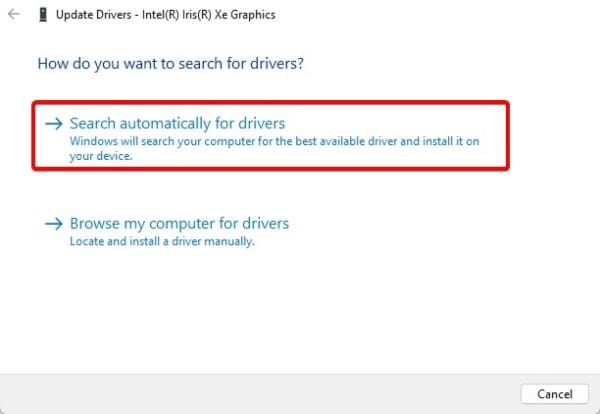 Driver search - Screen Zoomed In on Windows 11