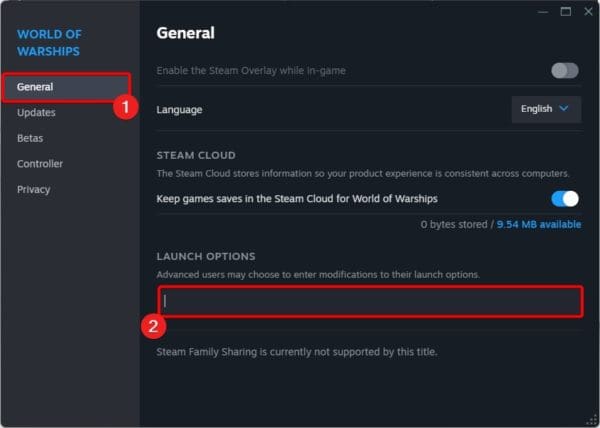 Steam Launch options 600x428 - How to Run High Graphics Games on Low-End Windows Computers