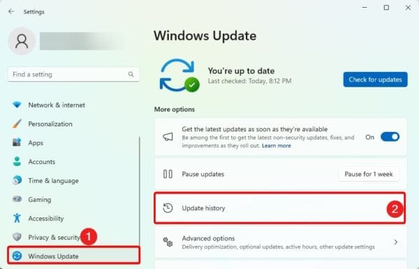 update history - Screen Zoomed In on Windows 11